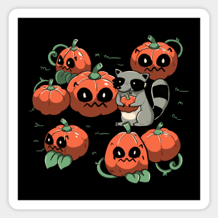 Stolen Pumpkin Halloween Raccoon by Tobe Fonseca Sticker